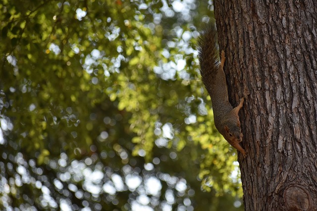 目前的困境 目前的困境