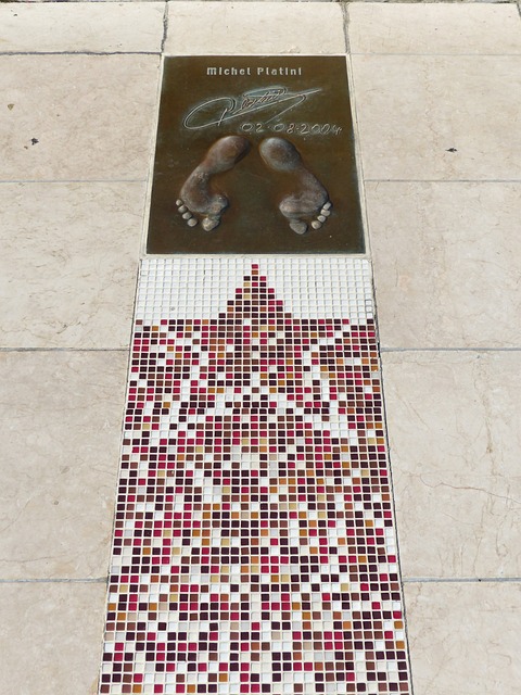 明星球员的 明星球员的