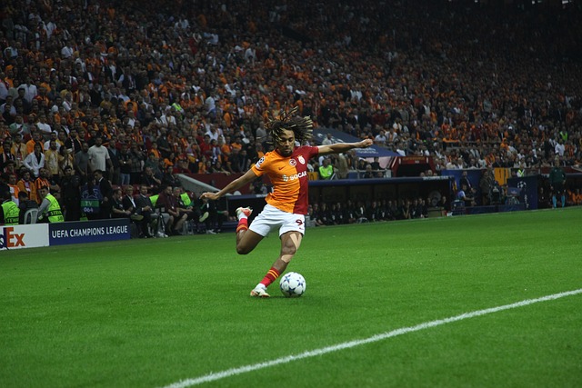 球队的成就 球队的成就