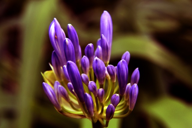 籃板保護能 籃板保護能