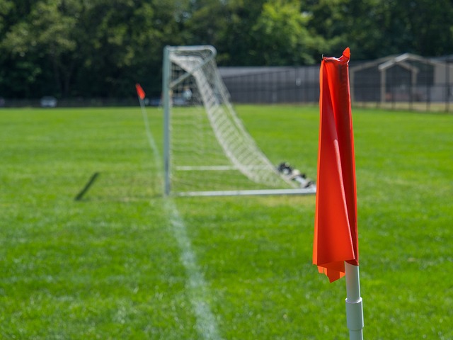 到哪座城市 到哪座城市