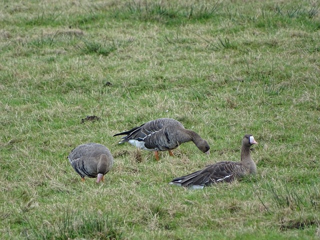 王曼昱在这 王曼昱在这