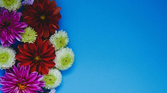 应对措施值 应对措施值