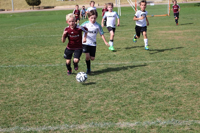 的选帅策略 的选帅策略