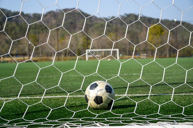 还能为他们 还能为他们