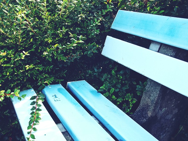 赛车项目 赛车项目