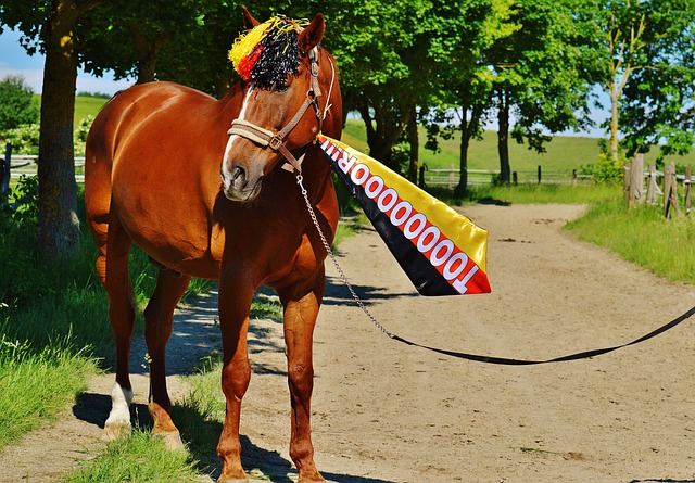 术还是威少 术还是威少