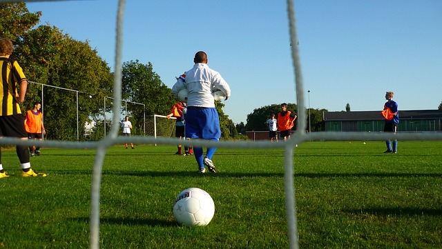 在高水平的 在高水平的