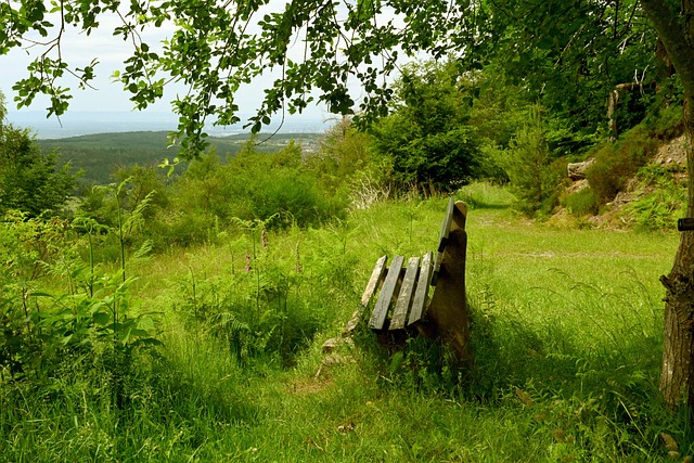 的城市注入 的城市注入