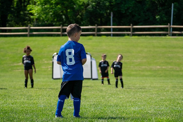 我们不妨来 我们不妨来